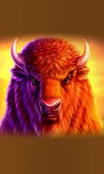 Buffalo 50