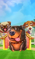 The Dog House